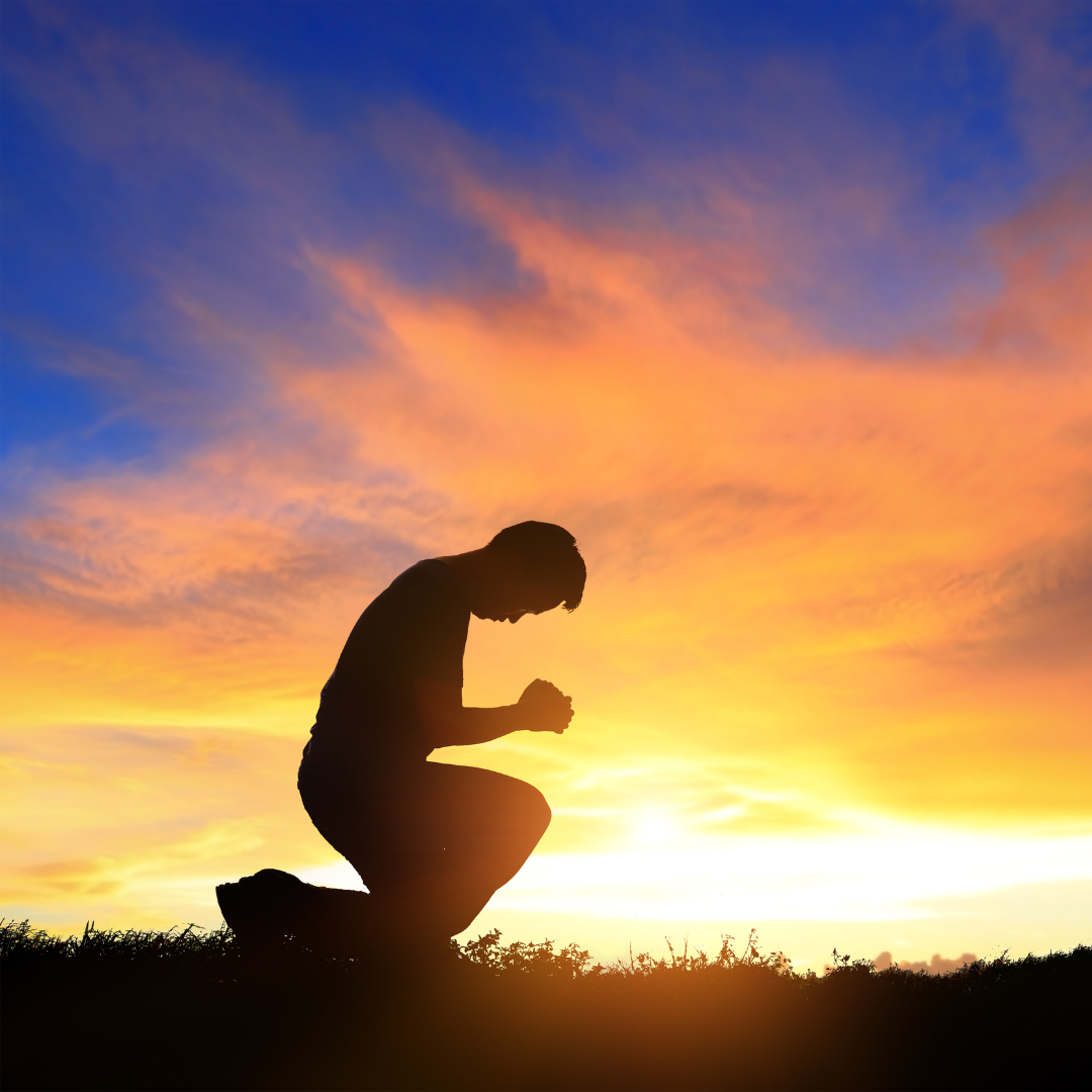 O que você vai encontrar